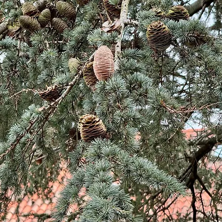 Grandma Mary Nel Con Ascensore Balcone Ac Internet Veloce Giudecca * Benátky