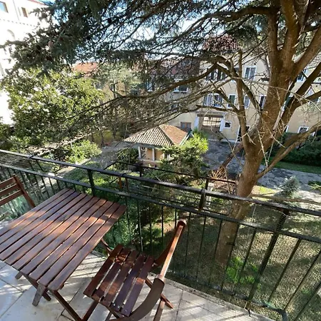 Grandma Mary Nel Con Ascensore Balcone Ac Internet Veloce Giudecca Benátky